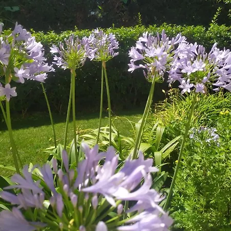 Al Casale Frühstückspension 3*