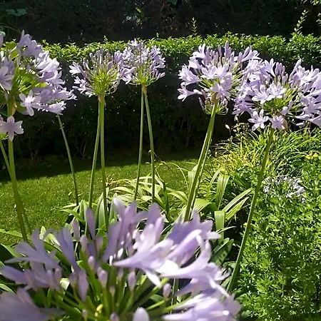 Bed & Breakfast Al Casale 3*