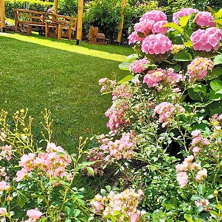 Bed & Breakfast Al Casale Casalserugo